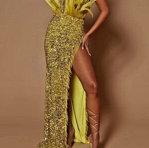 Gorgeous gold dress with feathers